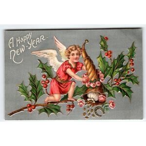 New Year Postcard Cherub Angel On Holly Spills Coins Langsdorf Germany Embossed